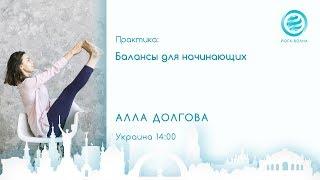 Балансы для начинающих. Алла Долгова