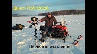 Обзор снегохода Динго Т150 (2018). Первое впечатление. Качество и надежность.