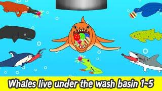 [EN] Whales live under the wash basin 1~5, 39min, cartoons for kids, whales adventureㅣCoCosToy