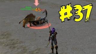 World of Warcraft Classic 1.12.1 - Квесты в Thousand Needles @ Kronos 2 #37