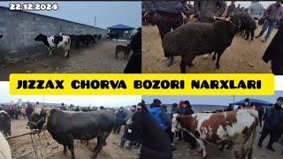 JIZZAX OSIYO MOL QO'Y BOZORI NARXLARI ЖИЗЗАХ ОСИО ЧОРВА МОЛ БОЗОРИ НАРХЛАРИ #жиззах #rek #ozod