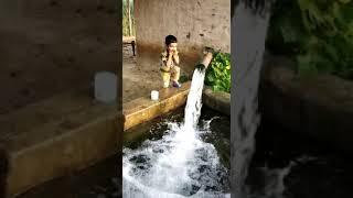 Arnav Gurjar