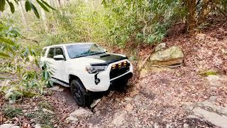 TRD Pro 4Runner exploring Horse Creek, TN during late Fall