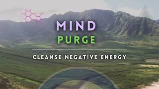 Mystical Mind Purge | DMT Breathwork Journey to Cleanse Negative ENERGY with Amazonian Handpan