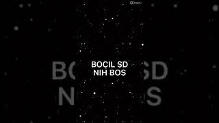 Bocil sd