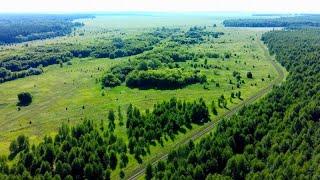 Село Покровка. Челно-Вершинского района Самарской области.