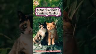 5 Fakta Menarik Tentang Kucing.//#faktamenarik #cat #animals #catlover #shorts #viralvideo