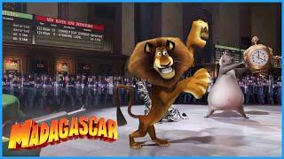 DreamWorks Madagascar | It's Me, Alex, From the Zoo! | Madagascar Movie Clip