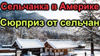 Сельчанка в Америке.Сюрприз. Гости