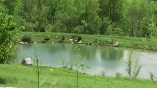JJRT Aquatic [Ponds, Water Gardens, Spas]  Columbia County, NY