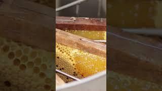 honey.