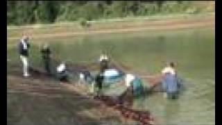 Matsunosuke Harvest Oct 2007