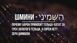 Почему Аарон приносит тельца-хатат за грех золотого тельца, а евреи нет? Зера Шимшон. Шмини 5780