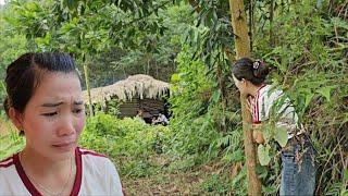 The mute wife returns, heartbroken to find her husband and his ex-girlfriend together