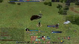 Lotro Warden PvP U36.2