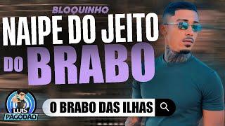 O BRABO DAS ILHAS | BLOQUINHO DO NAIPE DO JEITO DO BRABO 2024 | PARA PAREDAO