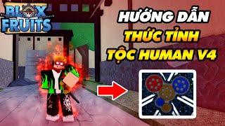 Hướng Dẫn Thức Tỉnh Tộc Human V4 Siêu Mạnh || Blox Fruits!