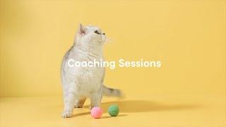 Say hello to Coaching Sessions 