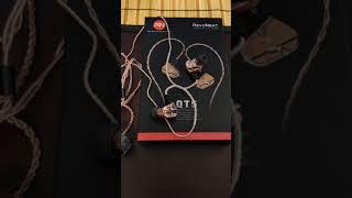 RevoNext QT5 IEM earphones.