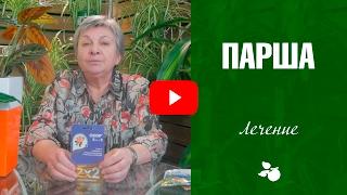 Парша на груше и яблоне  обработка от болезней. Как бороться с болезнью? Советы эксперта хитсад ТВ