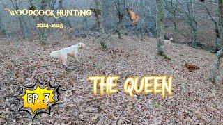 THE QUEEN - EP.3 / Κυνήγι Μπεκάτσας /Woodcock Hunting /Caccia alla Beccaccia /Çulluk Avı [2024-2025]