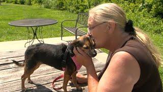 Kannapolis woman facing homelessness after refusing to give up beloved dog