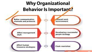 importance of organisational behaviour OB URDU HINDI