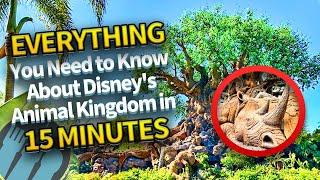 Everything You Need to Know About Disney's Animal Kingdom in 15 Minutes