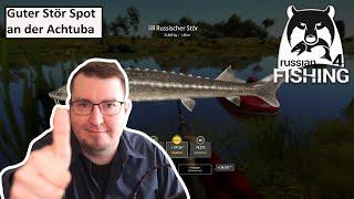 Guter Russischer Stör Spot an der Achtuba & XMAS Special | Russian Fishing 4 | Deutsch | UwF