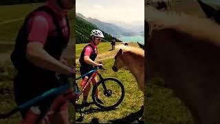 Bike & Horse #trifox #mountainbike #workout #alps