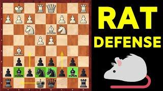 Owen's Defense Chess Opening [Rat Defense]