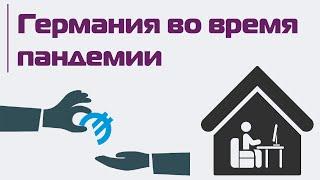 Помощь от государства и права сотрудников — как работать во время пандемии? Мнение эксперта