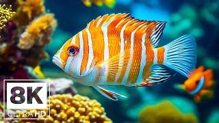 Silent Ocean 8K – The peace and stillness of the deep blue