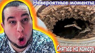 МАНУРИН СМОТРИТ НЕВЕРОЯТНЫЕ МОМЕНТЫ СНЯТЫЕ НА КАМЕРУ ⊳ WATCH THE MANYRIN РЕАКЦИЯ #reaction #реакция