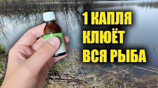 ЛЕТОМ ВСЯ РЫБА КЛЮЁТ НА ЭТО! ВСЕГО 1 КАПЛЯ И КЛЮЁТ ВСЯ РЫБА!