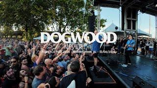 Dogwood - Never Die (Live at Furnace Fest 2024)