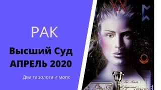 Высший суд. Апрель 2020. РАК