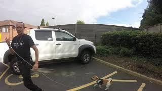 Confronting blue badge parking abuser