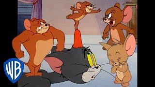 Tom y Jerry en Latino | Jerry con toda su fuerza  | WB Kids