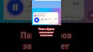 Павел Дуров записывает голосовое сообщение #павелдуров #дуров #франция #телеграм #shorts