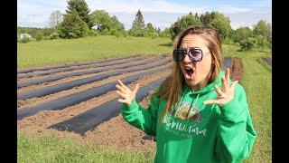 This Farm Tool Just Changed My Life : Cut Flower Bed Maker  : Flower Hill Farm