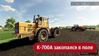 К-700А застрял в поле. Беларус 3522 тащит.