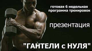 ГОТОВАЯ ПРОГРАММА ТРЕНИРОВОК/ГАНТЕЛИ с НУЛЯ/dumbbells for beginners/presentation/NEZANUDA