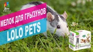 Минеральный камень для грызунов LOLO Pets | Обзор минерального камня для грызунов LOLO Pets