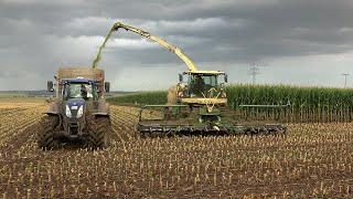 [Mais 2024]LU Schmerer Krone BigX1180 beim Mais Häckseln mit verschiedenen Abfahrern in der Wetterau