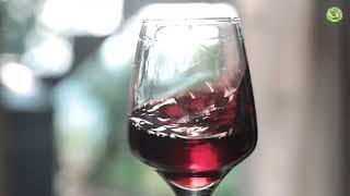 WINEMAKER PROFILE VIDEO: Fruit Wine Makers at Vinexpo Mumbai 2024 -Dura Wines