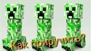 Как приручить крипера в майнкрафте | minecraft