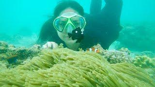 SNORKELING DI PULAU TIKUS BENGKULU