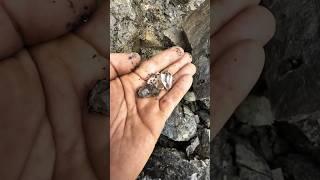 We Found Herkimer Diamonds in this Rock!