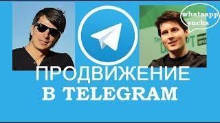 Как раскрутить канал в TELEGRAM. Мой опыт по Продвижению